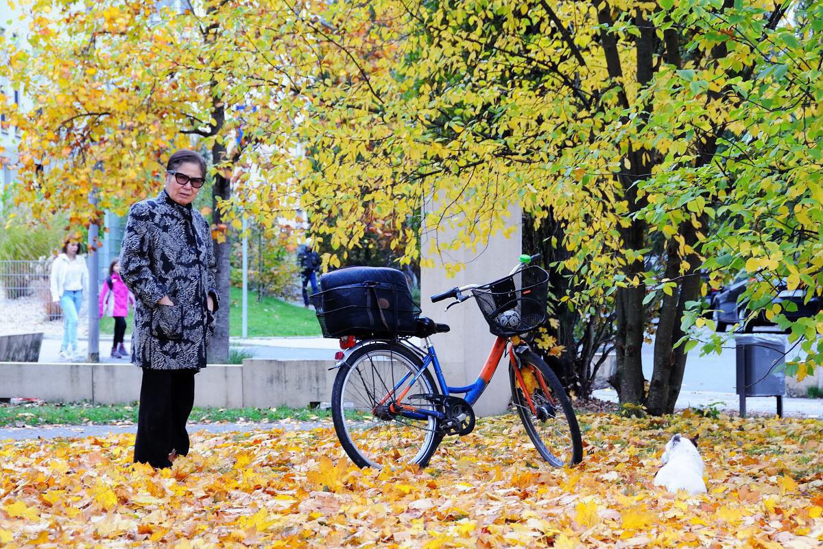 1811_05 Podzimní výlet