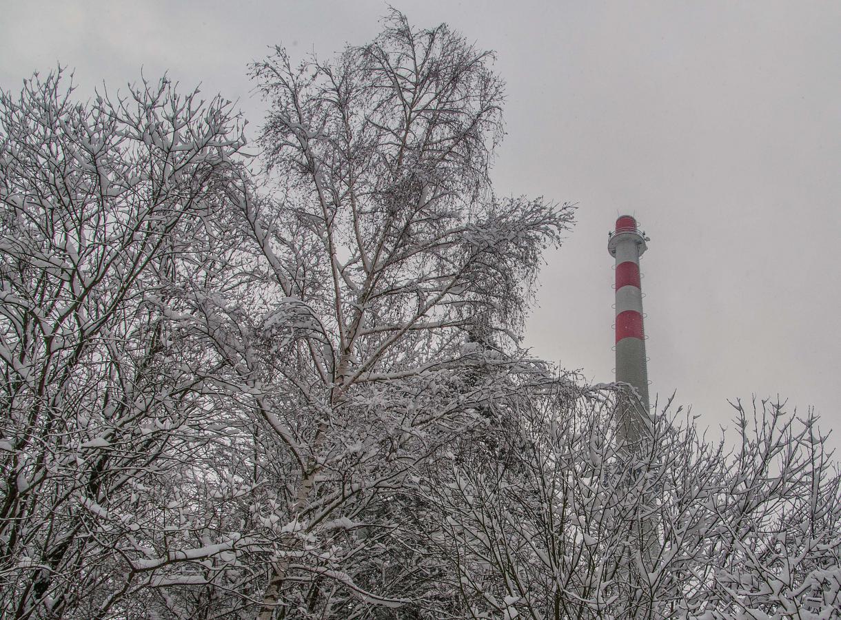 1901_06 Zima je krásná, pokud je doma teplo.