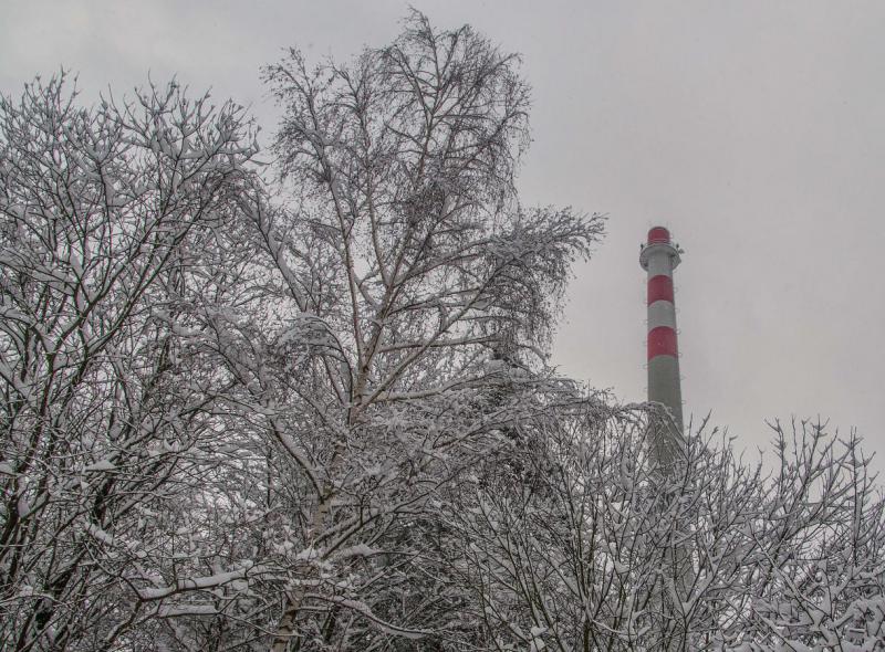 1901_06 Zima je krásná, pokud je doma teplo.