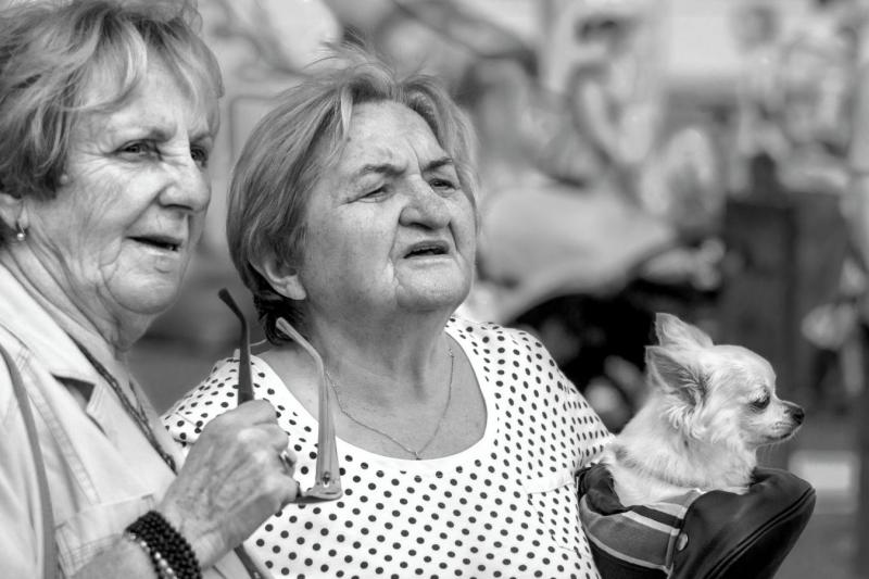 1904_17 Dvě dámy a pes