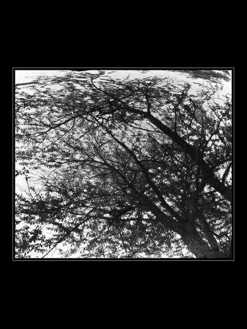 KLÍMEK David -  Strenž dyzajn