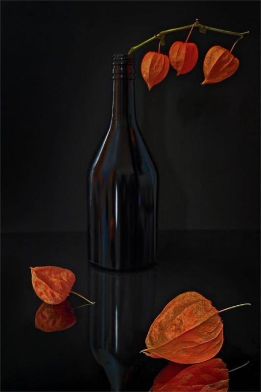 2001_08 Zátiší s Physalis