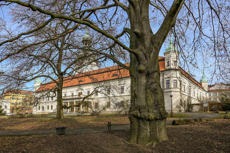 2003_04 Klid v zámecké zahradě