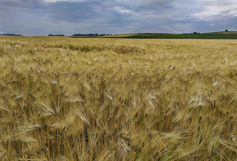 2009_05 Úrodná krajina