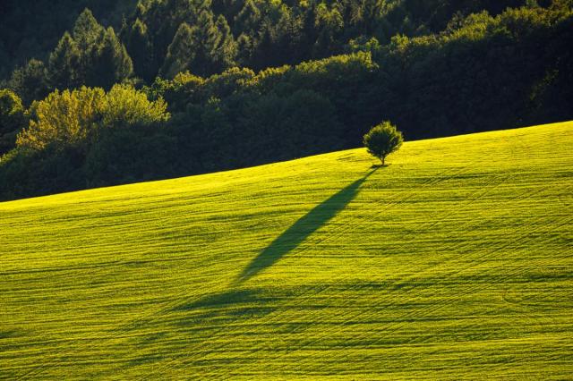 Samotár v posledných lúčoch