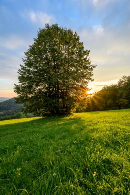 Na valašských lúkach 1