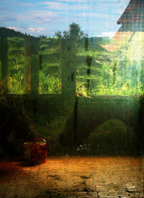 ČEVELA Martin - Iluze zrcadlení