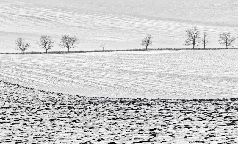 2101_14 Grafika zimy