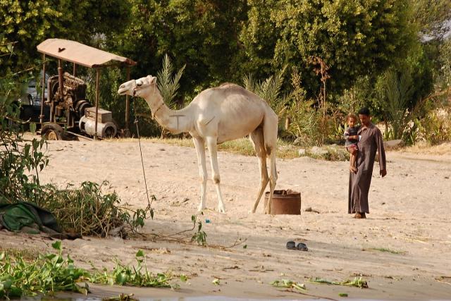 2102_06 Život na Nilu