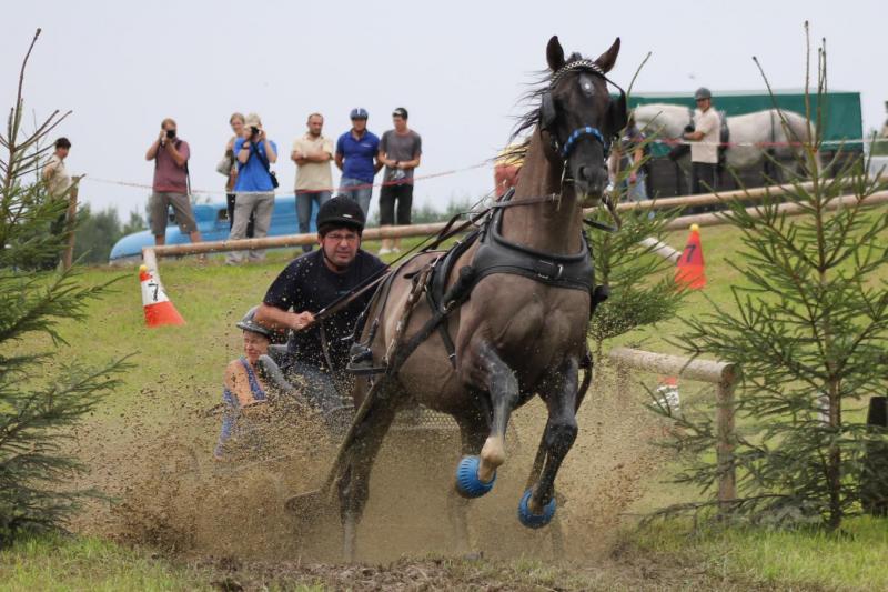 2102_11 Cesta za vítězstvím