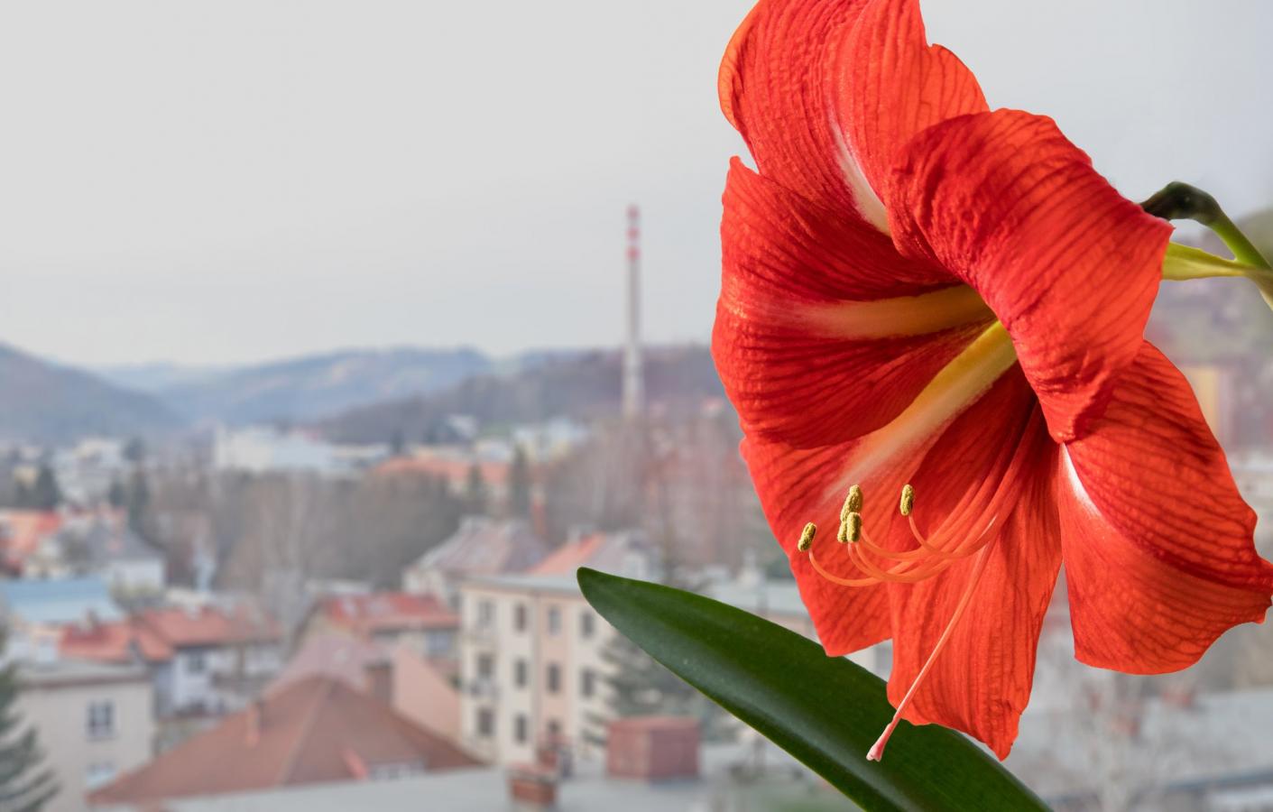 2104_10 Pohled z okna