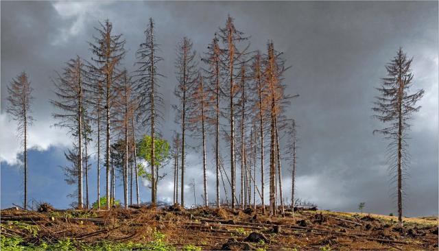 2111_10 Nejen COVID...