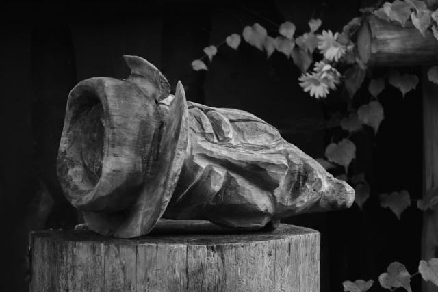 2402_19 Hlava na špalku