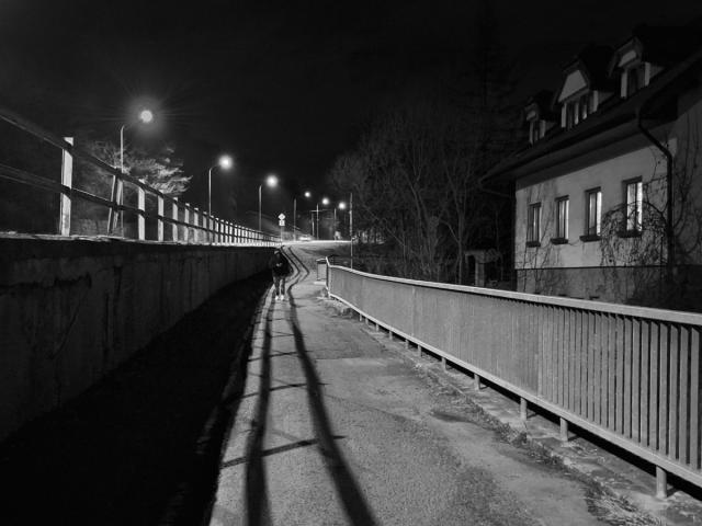 2504_14 Noční linie