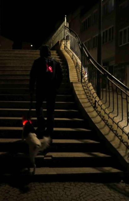 2504_18 Bezpečný noční pejskař