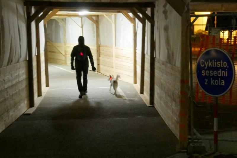 2504_19 Pejskař nemusí