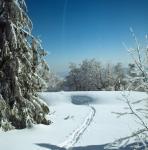 2511_32 Pěšina do hor