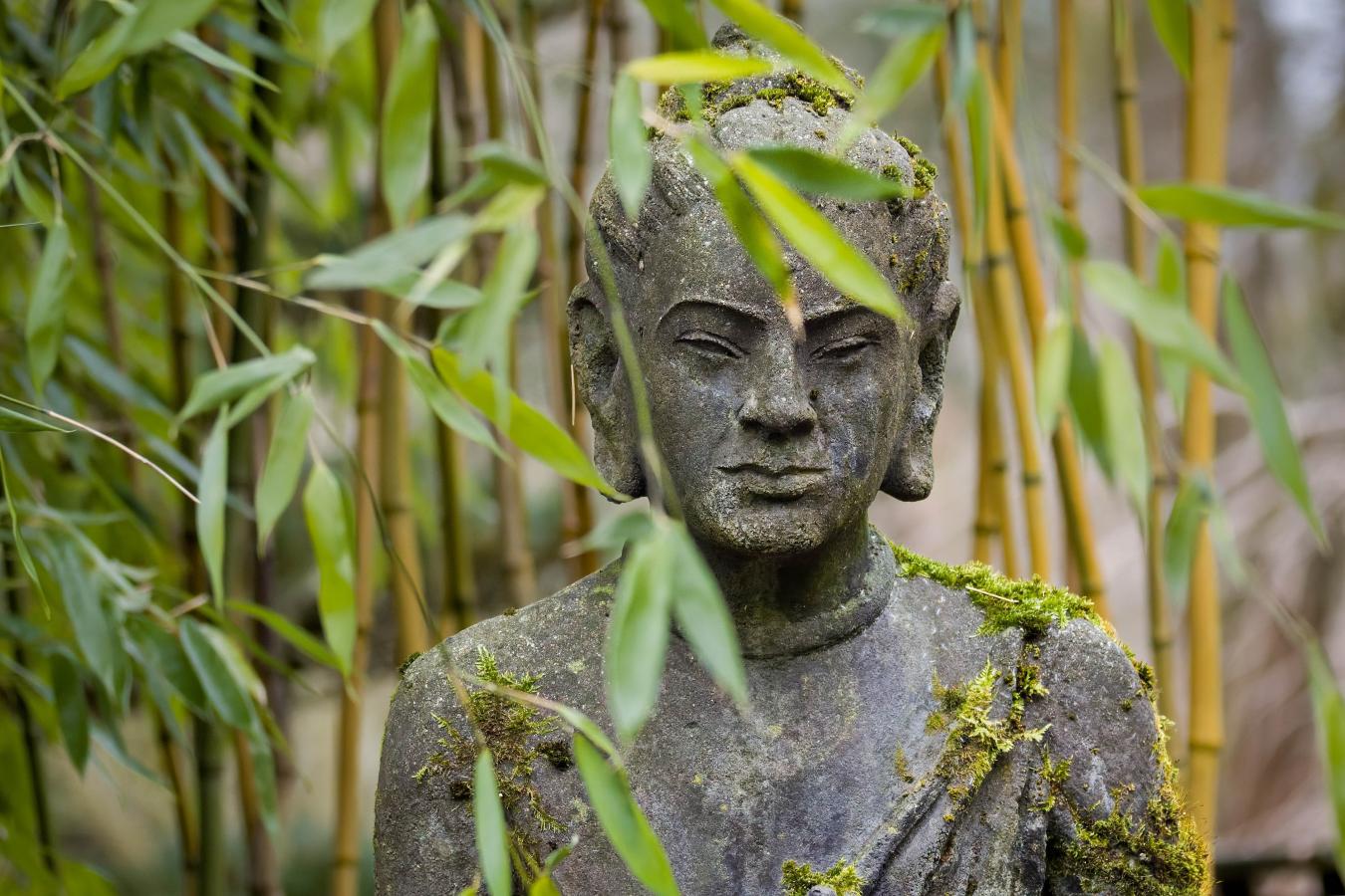 2601_05 Rozjímání