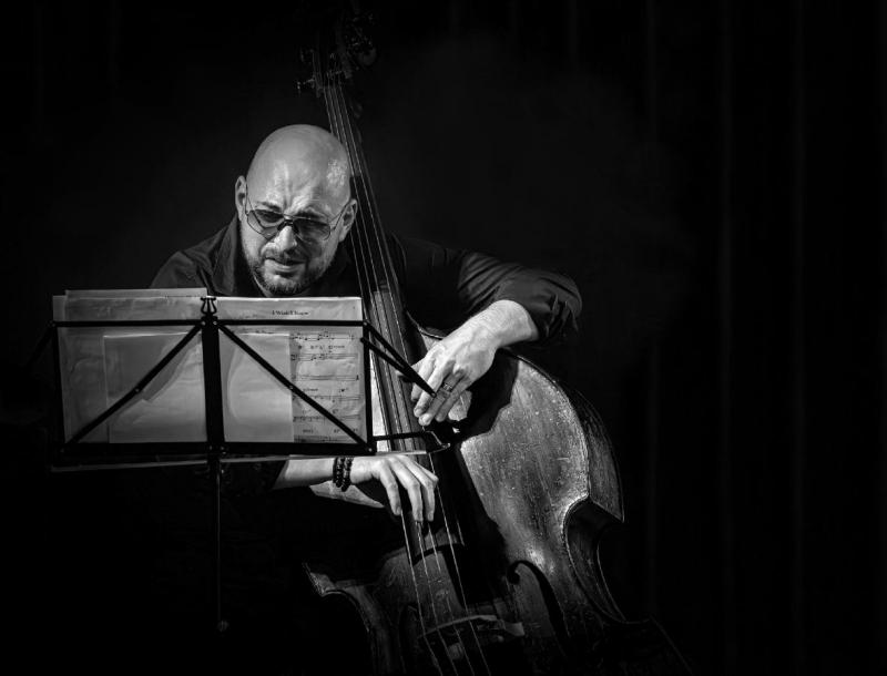 2602_17 KONTRABASISTA