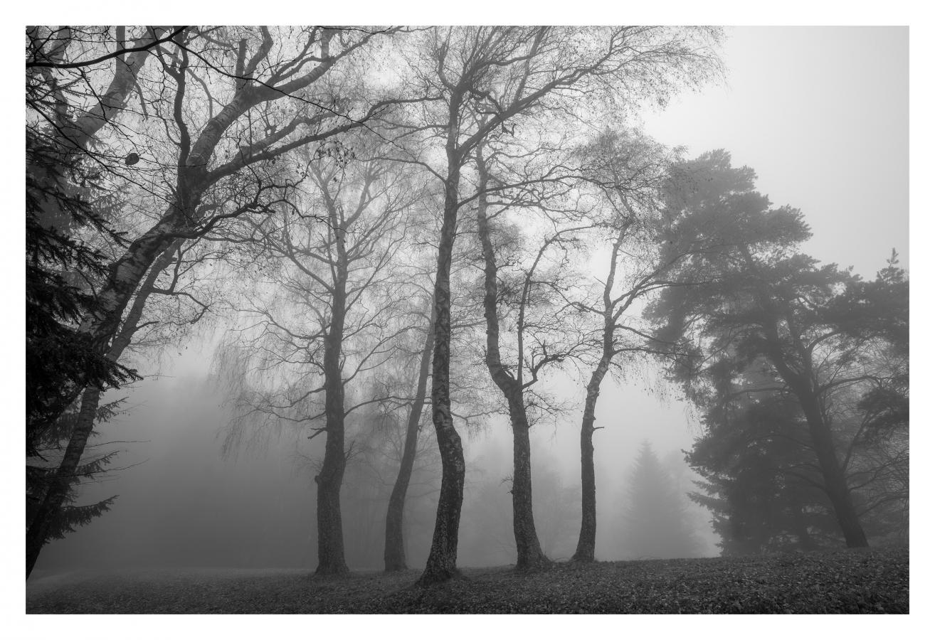 2602_26 les3