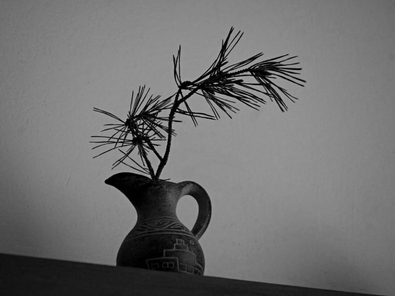 2602_28 Borová dekorace