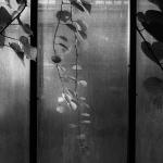 2602_31 Odpoledne ve skleníku