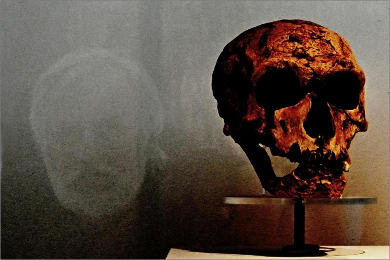 Duch bezzubého starce