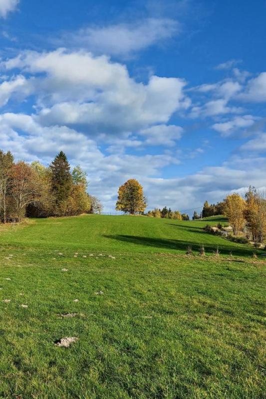 Podzim na Hlaváčkách
