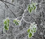 2603_12 Kouzlení námrazy 1