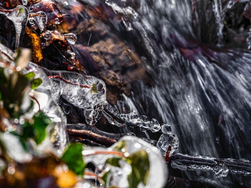 2603_20 Na břehu bystřiny