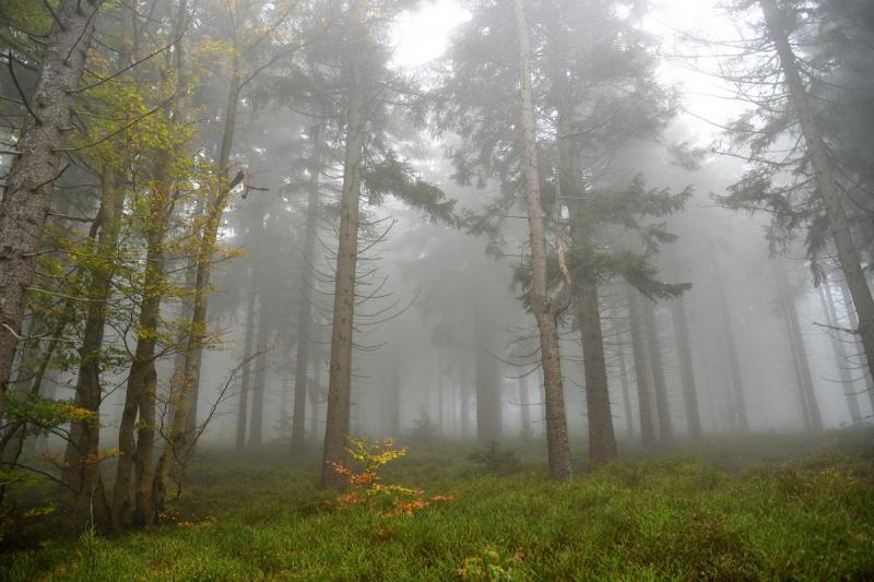 Podzim v Jeseníkách III