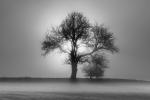 Hidden in white