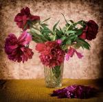 Broken Flowers 2