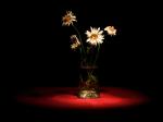 Broken Flowers 5