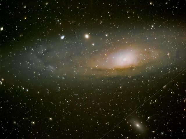 M31