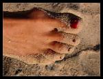 J13 Noha v písku