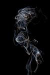 D10 Kouřový portrét