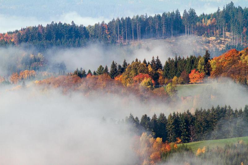 1710_11 Podzimní mlha