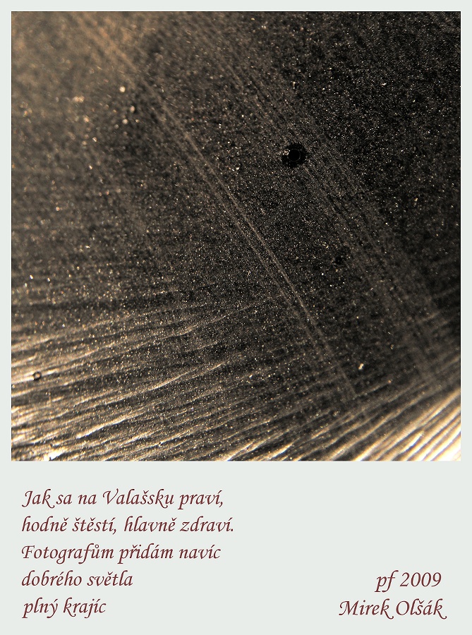 PF_2009.1