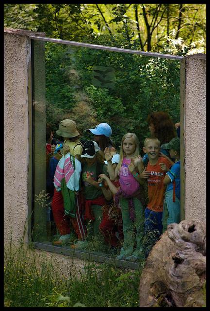 F30 Divoké šelmy v ZOO