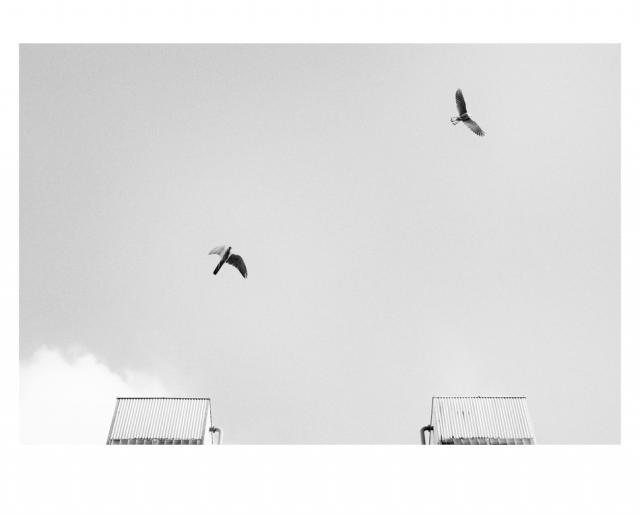 555058_detail