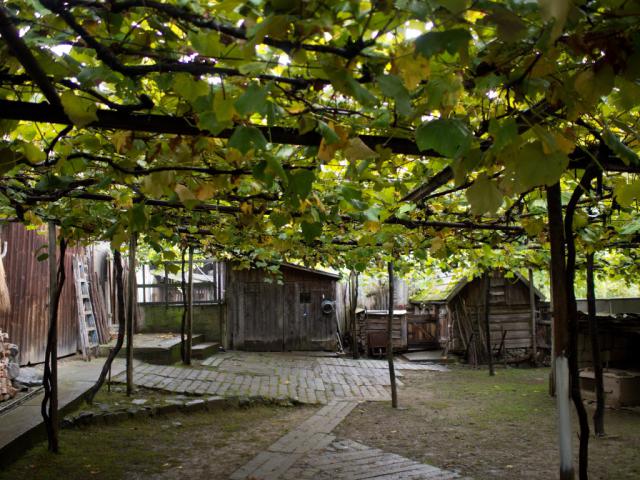P9299799.jpg