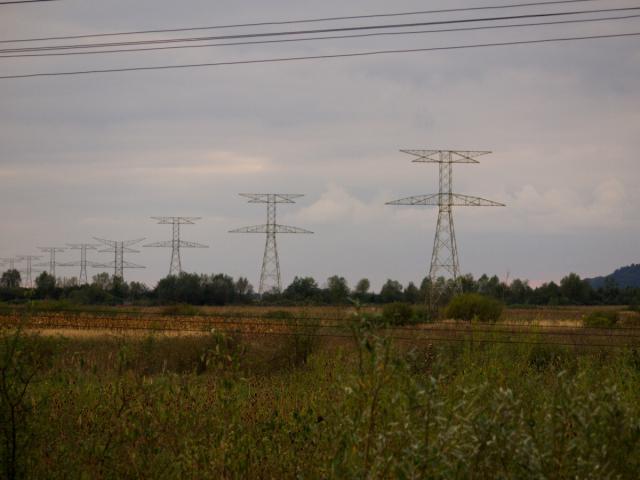 P9269543_1111.jpg