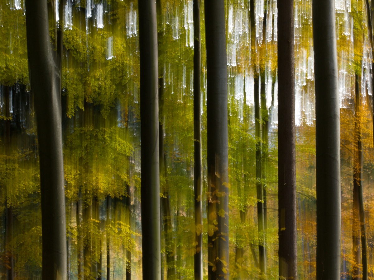PA260608_ fotoklub.jpg