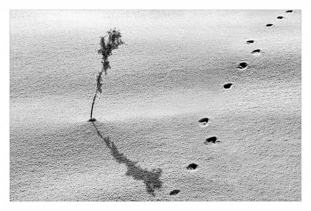 1601_08 Romantická poezie zimy