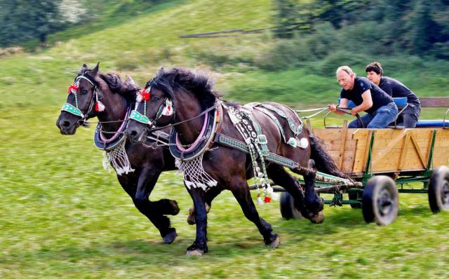 FORMANI 2014 - Čubov