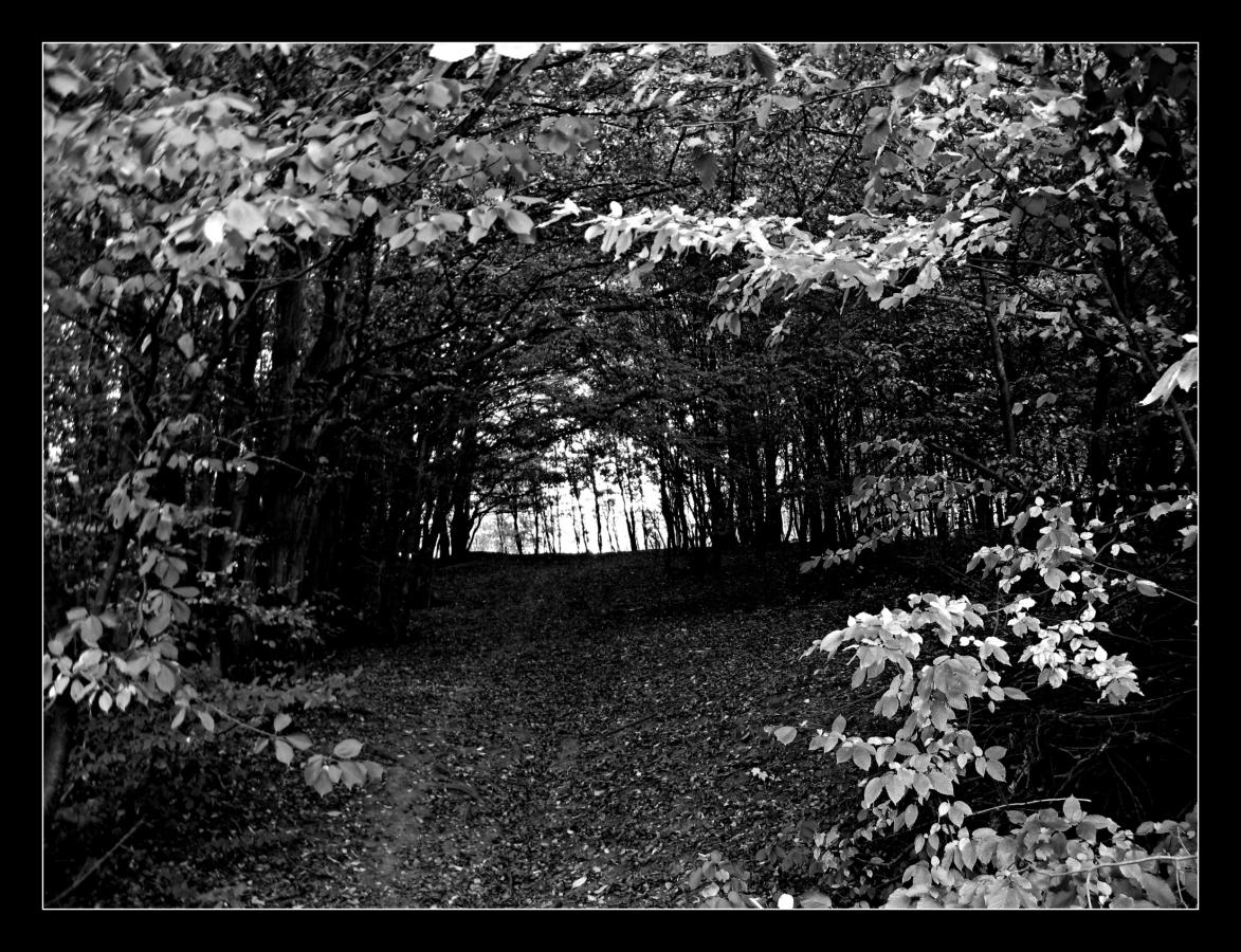 1604_15 Tunel+
