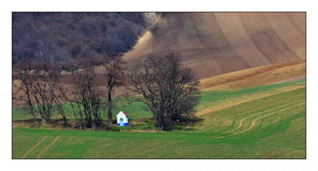 DSC_0700.jpg