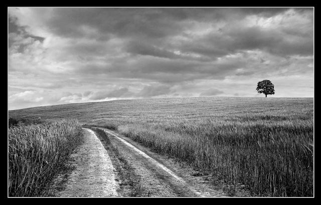 NOVOTNÝ František - Horizonty I.