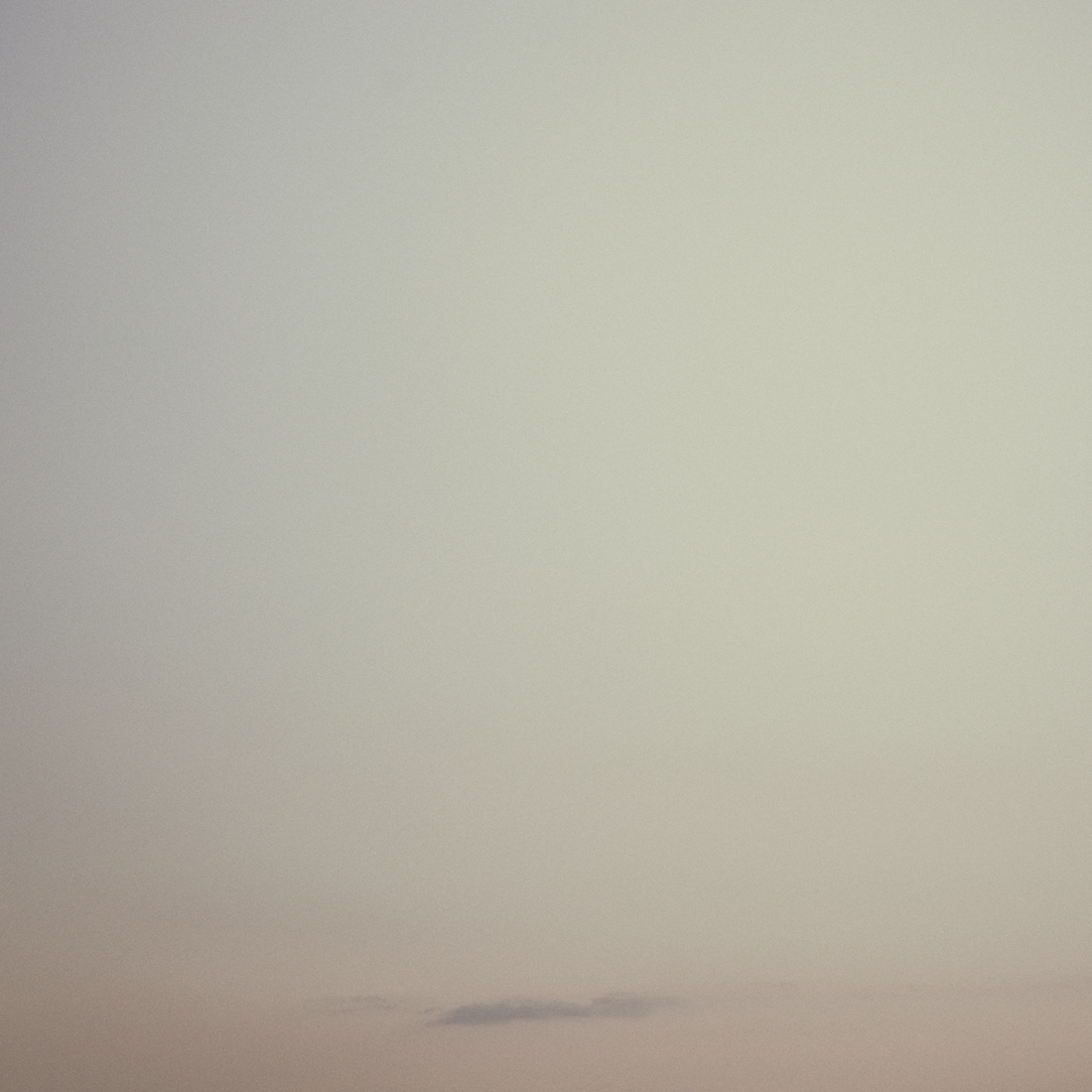 _PET3007